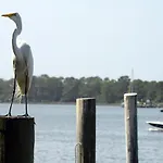 Summit 1231, 1 Bedroom, Sleeps 6, Beachfront, Wi-Fi