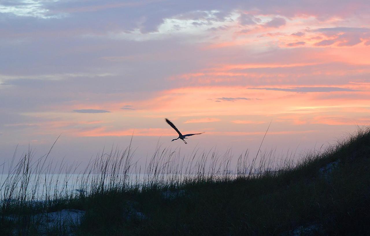Summit 1231, 1 Bedroom, Sleeps 6, Beachfront, Wi-fi Apartment Panama City Beach